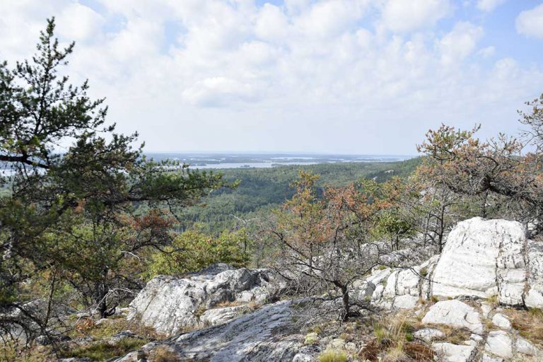 Willisville Mountain fundraising reaches first goal