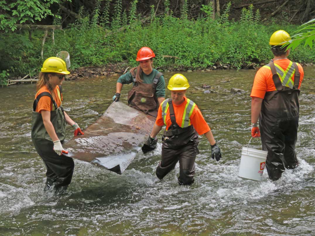 Lakeview students join Junior Rangers in rehabilitating Manitoulin Streams