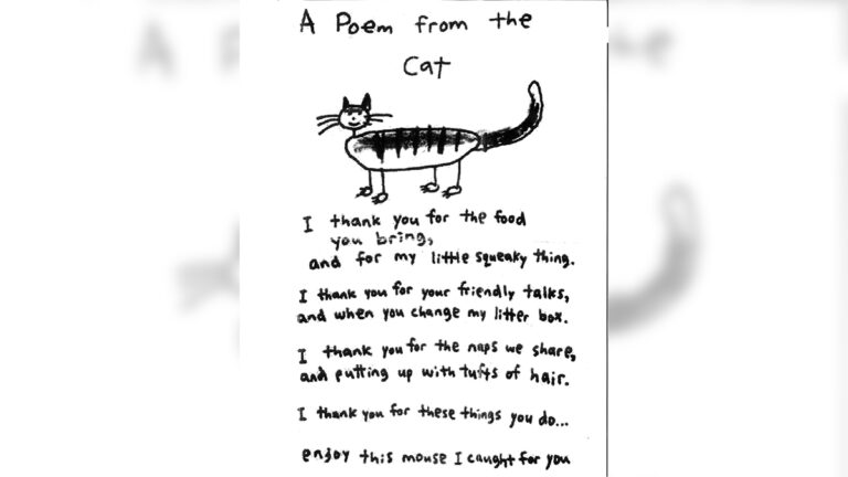 Thank you for a poetic donation