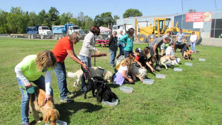 Rescue dogs recognized at Bark in the Park