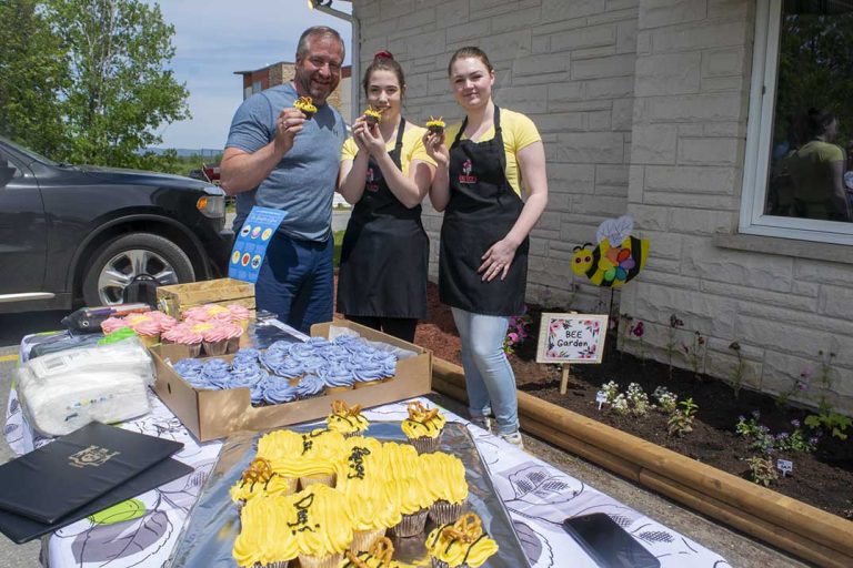 Bee advocates’ project continues strong growth