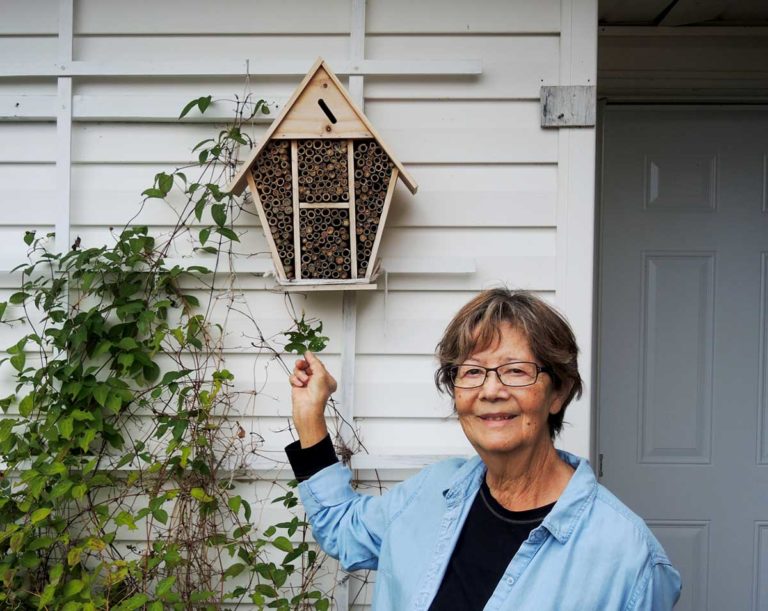 Bee hotels for Manitoulin gardens