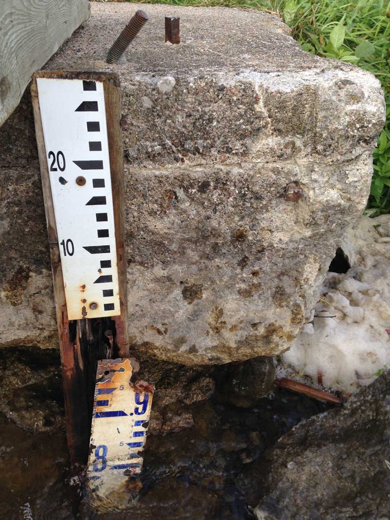 Action Kagawong Watershed Association revived