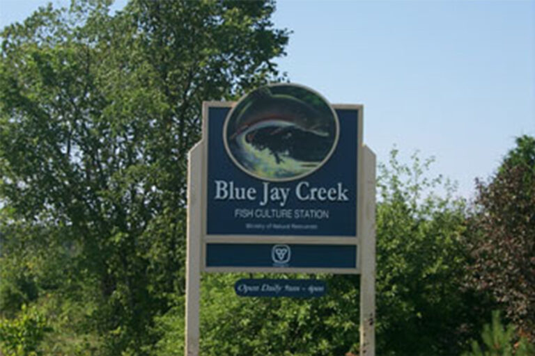 MNR plans new walleye hatchery on Blue Jay Creek