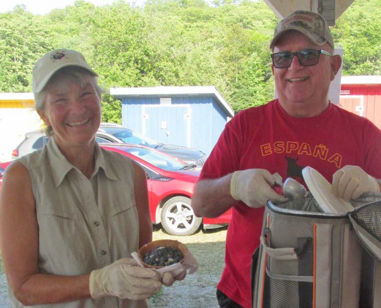 Kagawong blueberry social a success