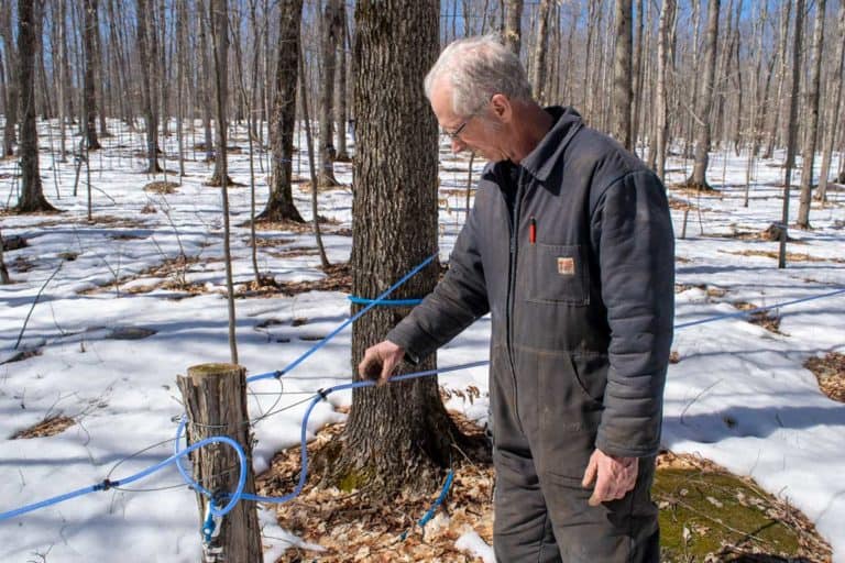 Max Burt implements off-grid system to semi-automate the syrup-making process