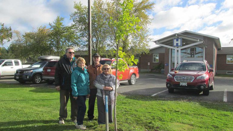 Ginkgo tree planted to commemorate 90 years of Campbell Horticultural Society