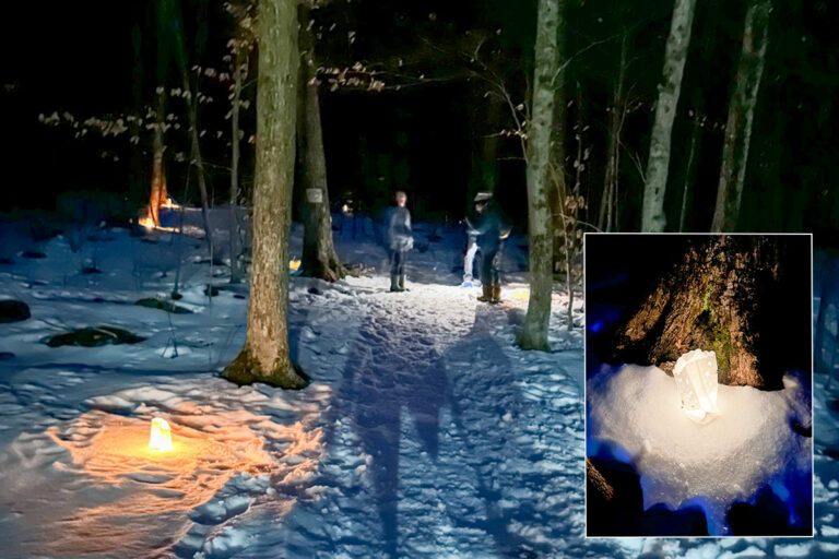 Snowshoe in the moonlight