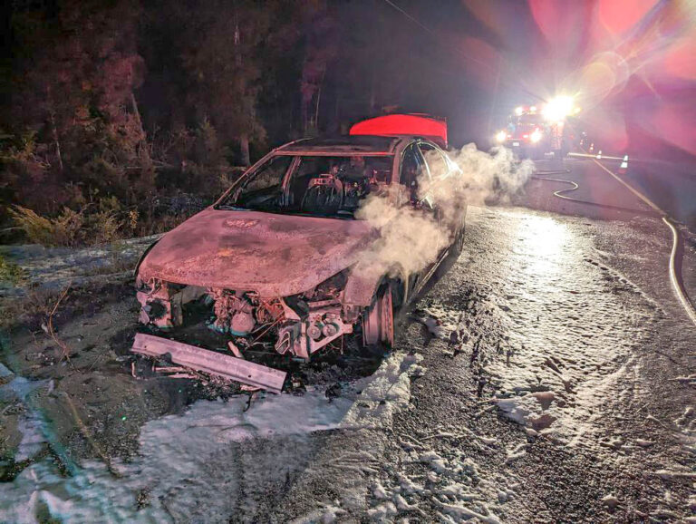 No injuries reported in Silver Water car fire