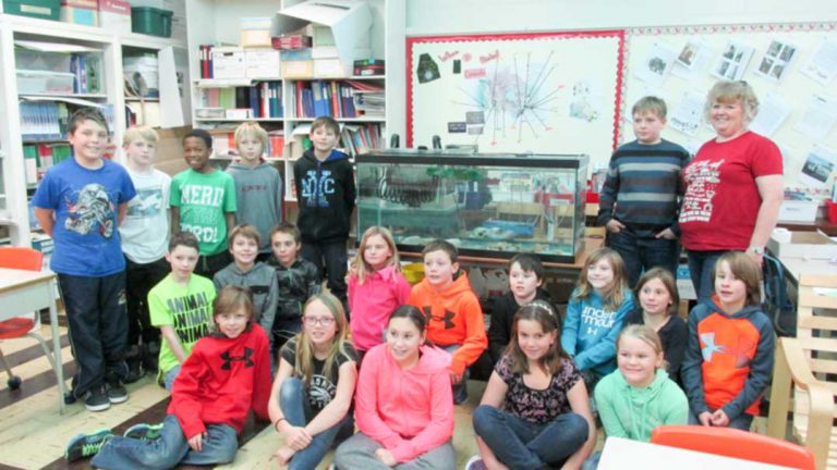 C.C. McLean students once again raising fish in class
