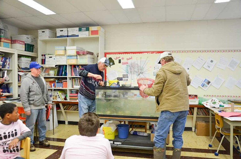 C.C. McLean students complete very successful fish raising project