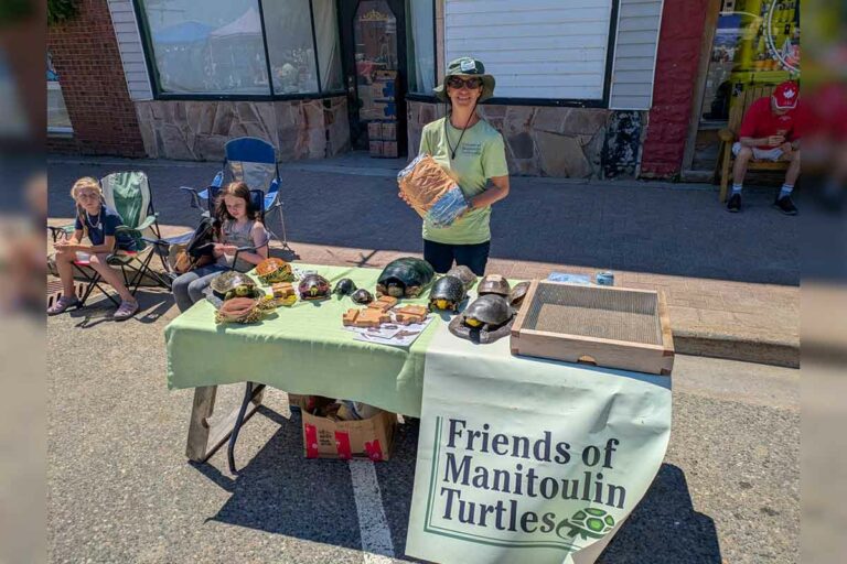 Birch Island works to implement unique turtle incubation project