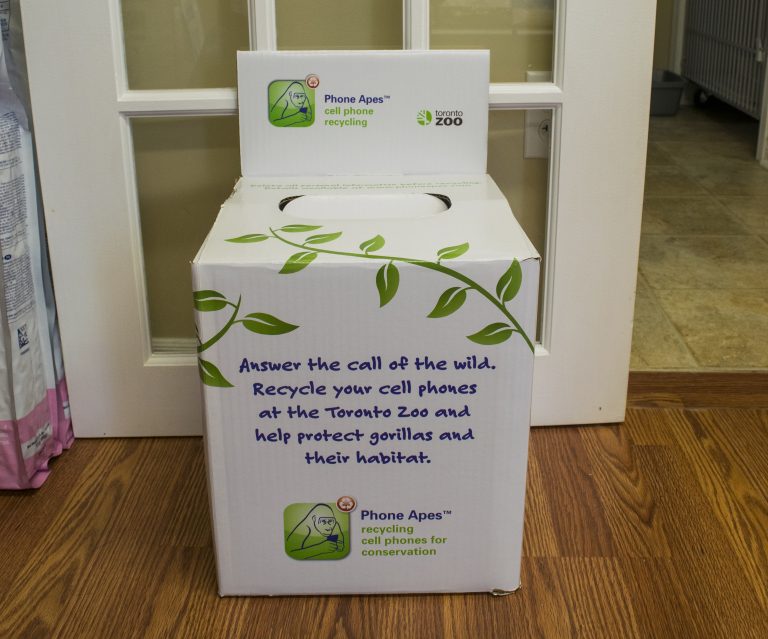 Island veterinarian hosts tech recycling program in partnership with Toronto zoo