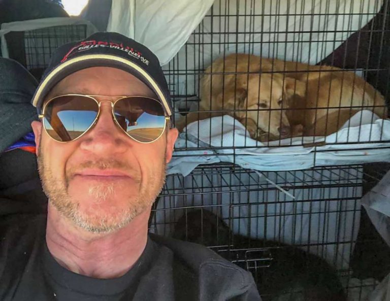 Espanola man critically injured in deer/motorcycle accident on the Island