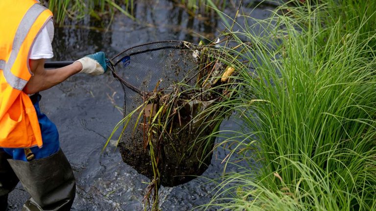 Province provides funds for two community environment projects on Manitoulin