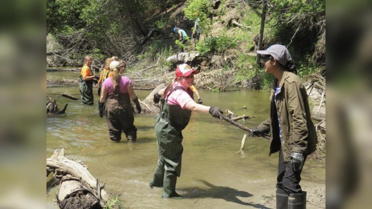 Revegetating riparian zones helps mitigate impacts of climate change