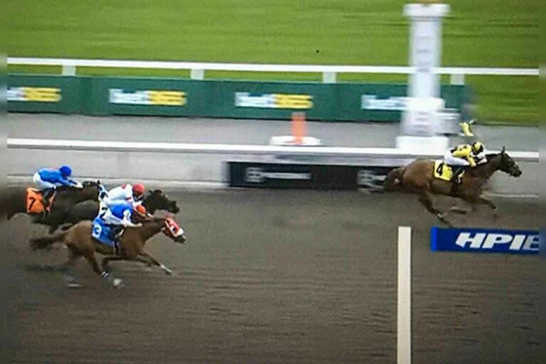 Island horse wins first race