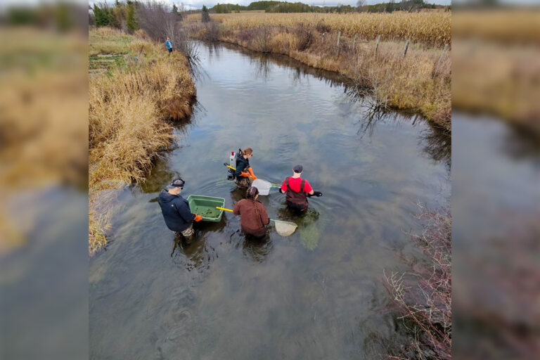Students wade waters during training in aquatic species assessement