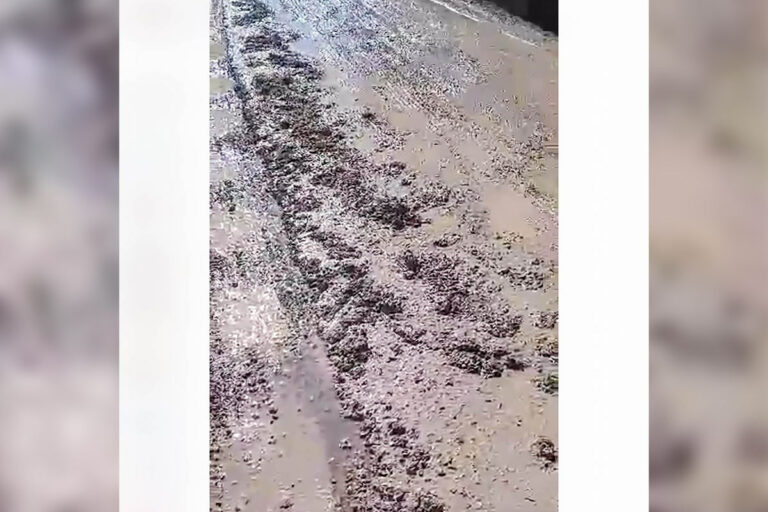 Michael’s Bay Rd. needs big upgrade, township reeve says