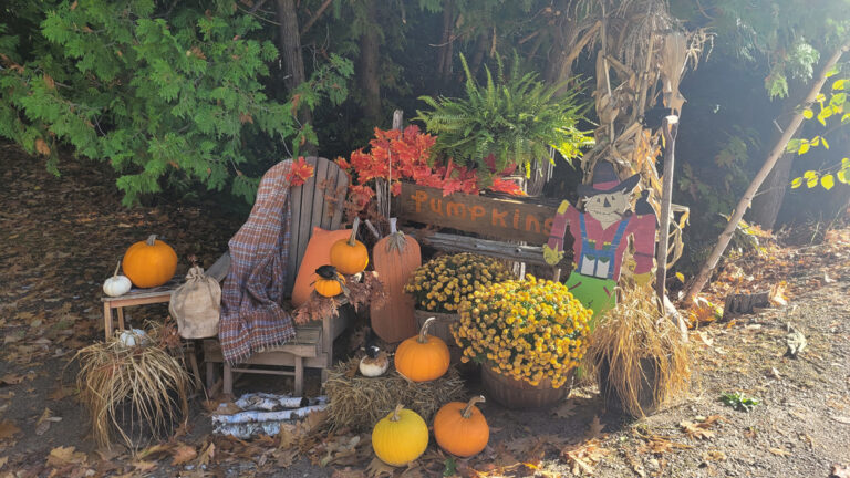 Decorate your gate! Gordon/Barrie Island event a great success