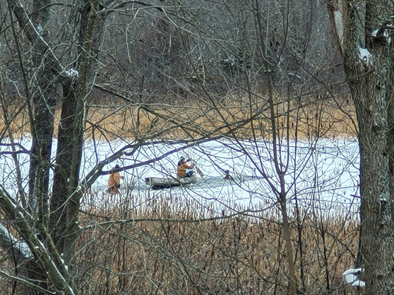 Kagawong men hailed as animal rescue heroes after saving stranded doe