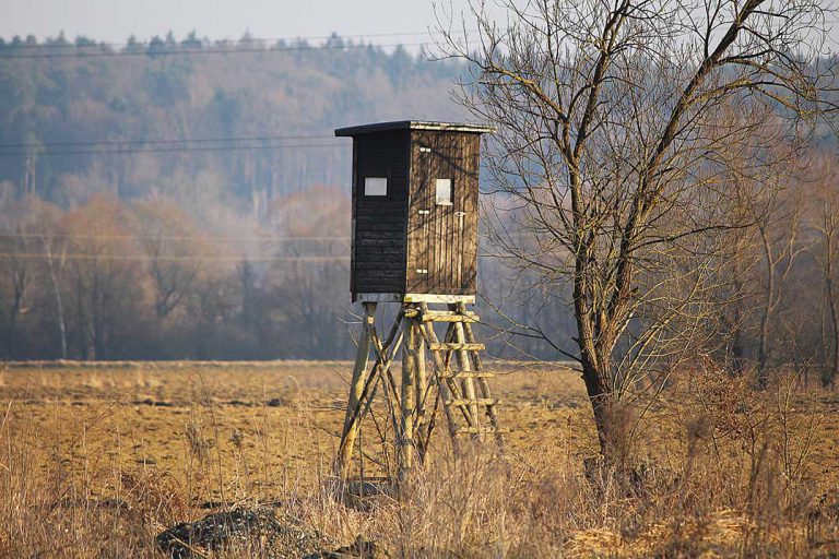 Ingersoll man fined $2,500 in provincial court on deer hunting charges