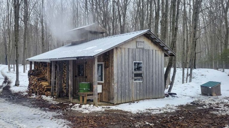 Dewar family annual maple syrup auction benefits cancer foundation