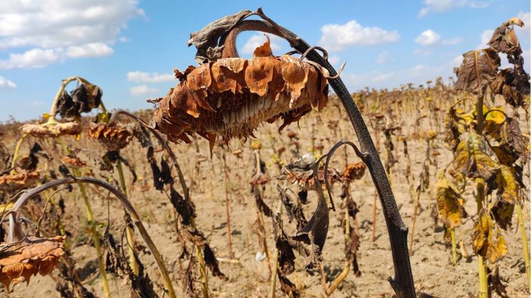 Regional climate change report suggests Manitoulin faces unique climate issues