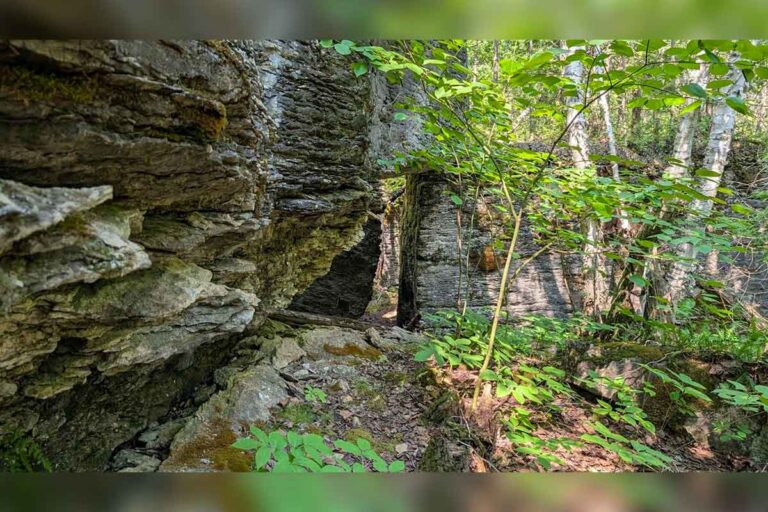 New nature preserve protected on Manitoulin