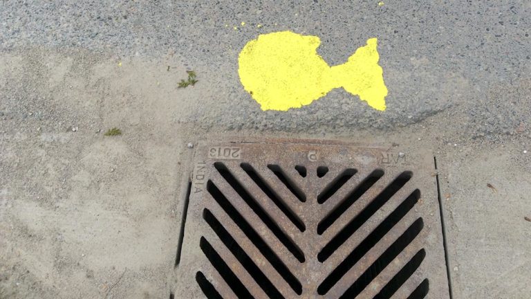 Manitoulin Secondary School, Central Manitoulin Public School both achieve top standing in national EcoSchool awards