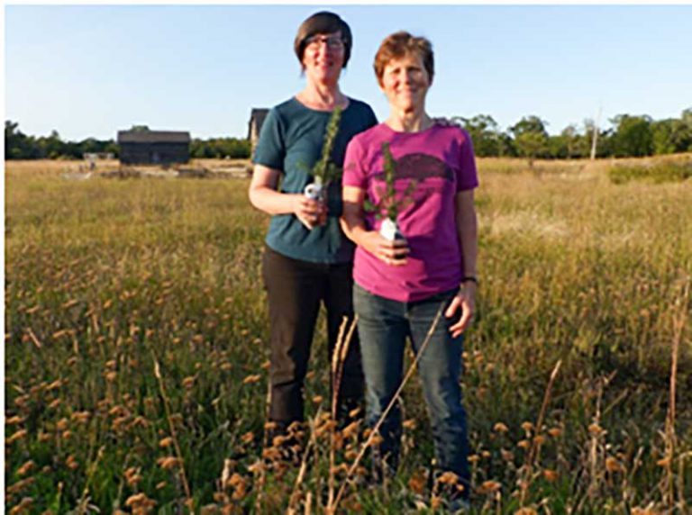 Kagawong women recognized as Forests Ontario green leaders
