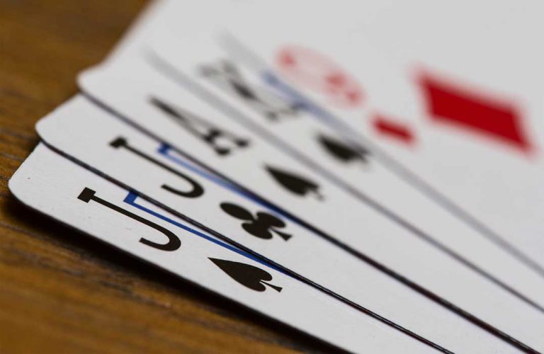 Bid euchre is taking Tehkummah by storm