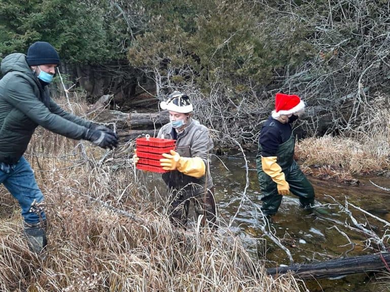 Volunteers sub in for students at annual eyed egg event