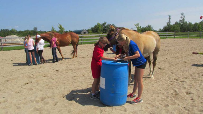 Hidden Creek Ranch hosts Fierce Fillies program