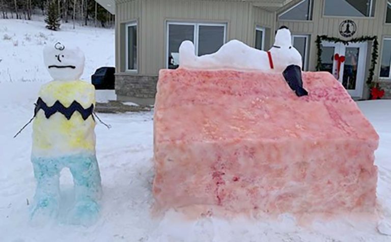 First Island-wide snow sculpture contest winners announced￼