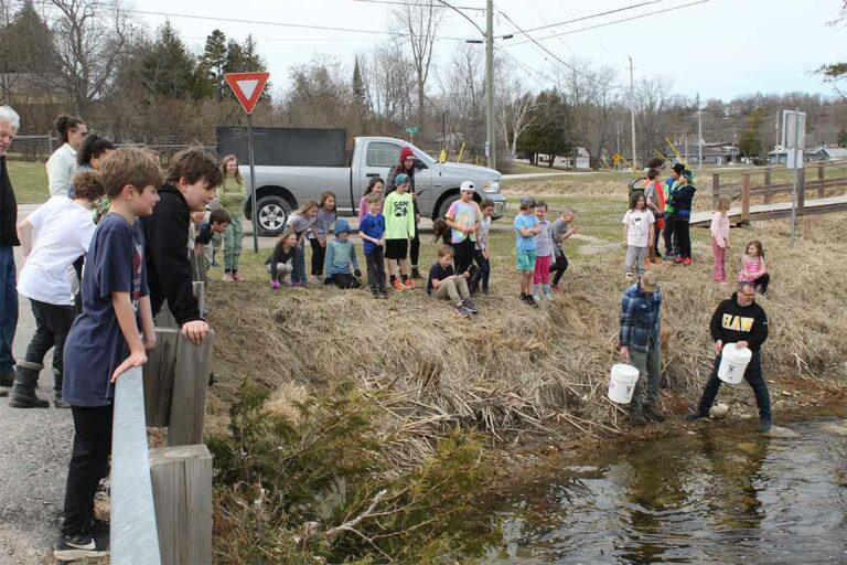 Elementary school kids help raise, release Chinook salmon fingerlings