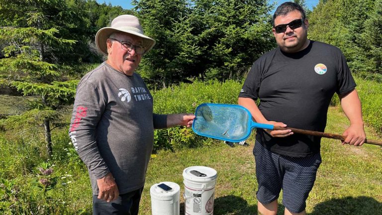 More walleye planted in North Channel