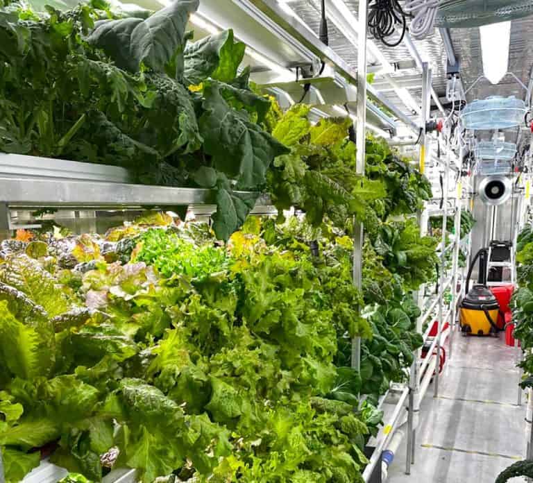 Sheshegwaning’s Odawa Fresh Water Gardens success leads to expansion