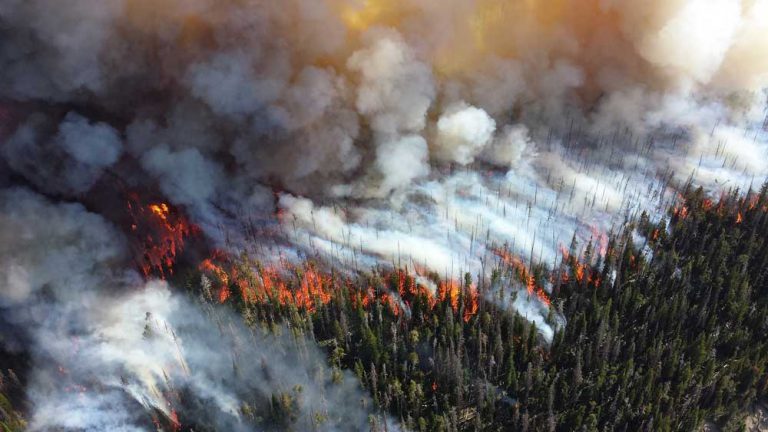 Killarney forest fire forces evacuation order, restricts travel