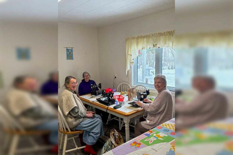 Bring Mom to the vintage sewing machine show Saturday