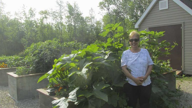 Plants can be good as food and used to make natural dyes