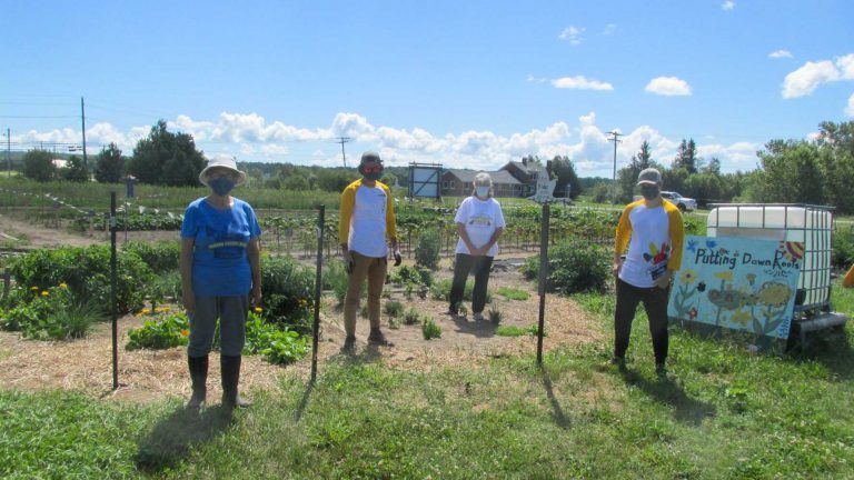 Young employees greatly enhance the community garden