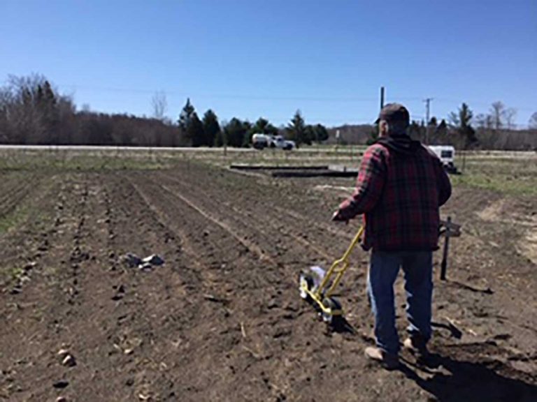 Province provides good news for community gardens