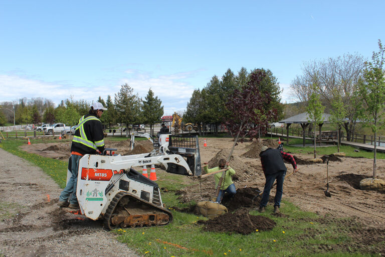 Former Gore Bay man gives back to community, offers landscaping skills to replant trees in waterfront park