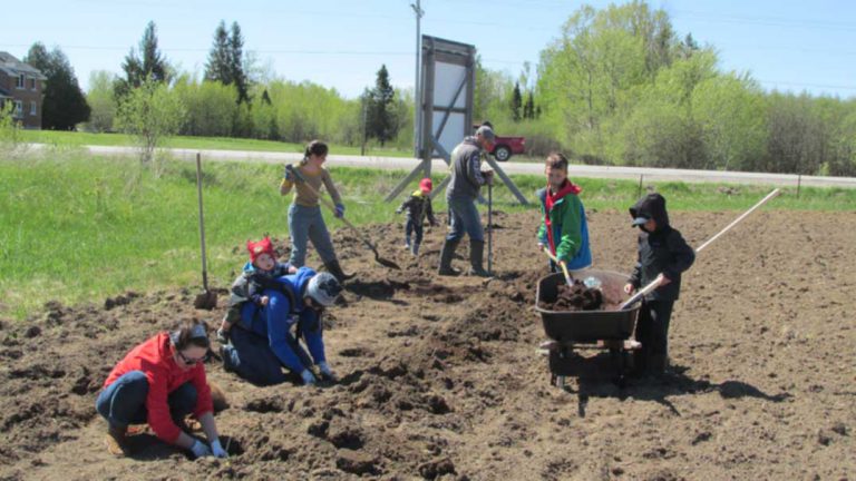 Gore Bay community garden being established this summer