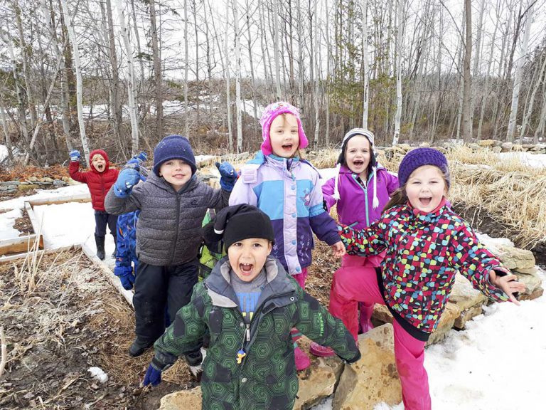 First fruits of new community greenhouses shared in Good Food boxes