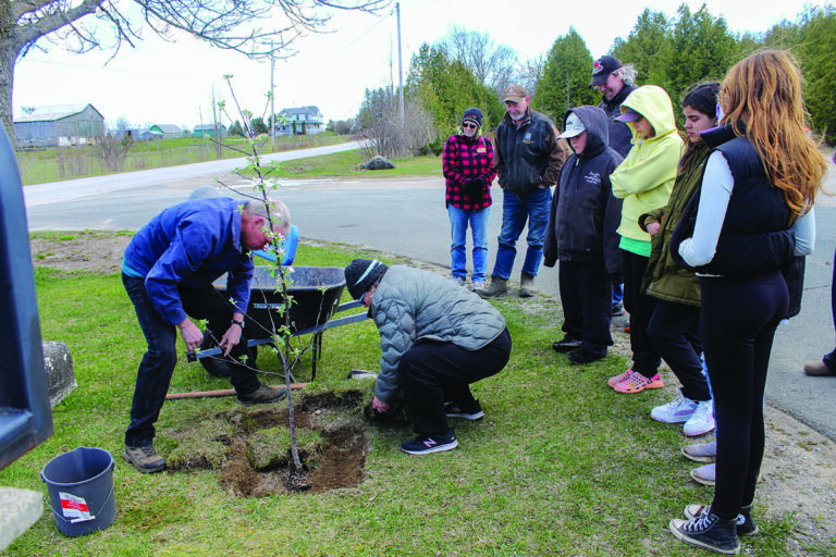 Gordon/Barrie Island township plants symbolic Earth Day apple tree