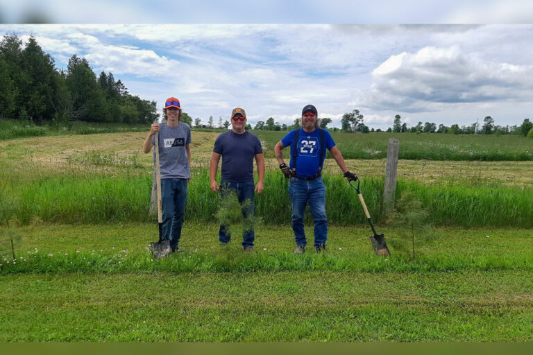 Tree planting towns rock!