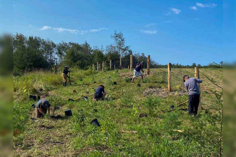 Restoration of site on Grimesthorpe Creek completed by Manitoulin Streams