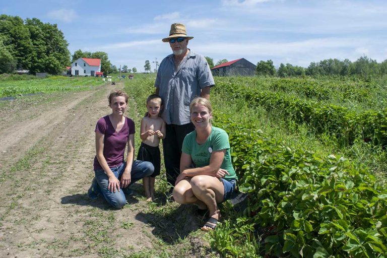 Pike Lake Farms rebounds from crop damage with record strawberry season
